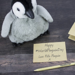 A History Of Pella Penguin On World Penguin Day 2018